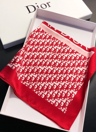 Christian Dior scarf