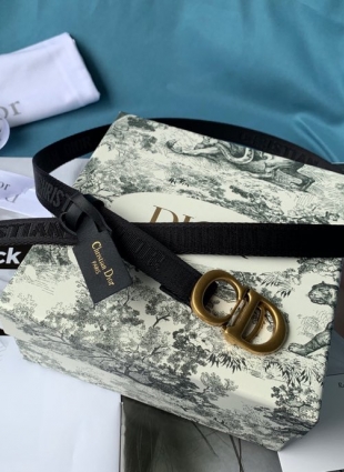 Chanel belt 2.0