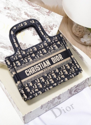 DIOR bag