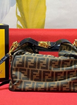 Fendi bag
