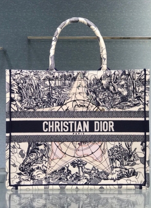 DIOR bag