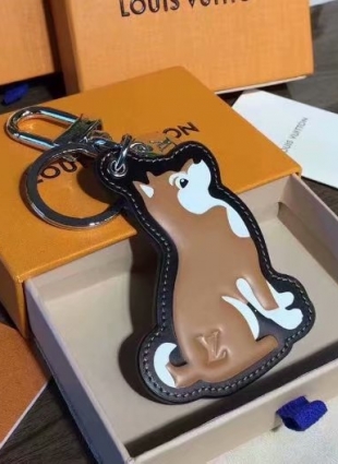 Louis Vuitton Accessory