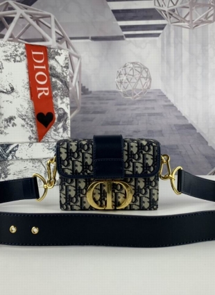 DIOR bag